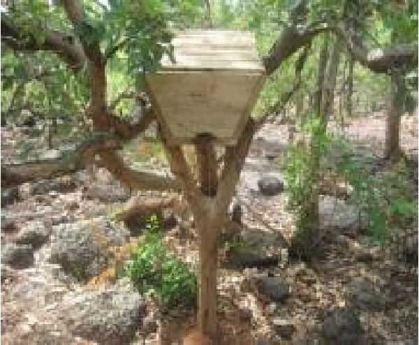 Biodiversité