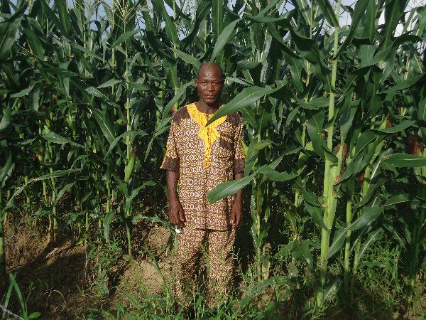 Agriculture